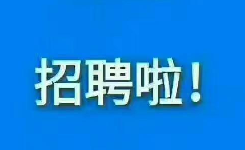 最新58招聘网招聘信息解析与个人观点阐述