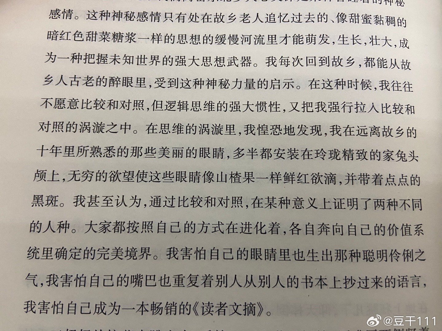 乡野欲潮，文化现象的深度解读与最新进展