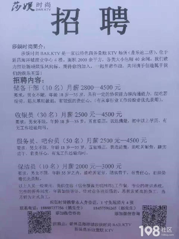 观点论述全解析