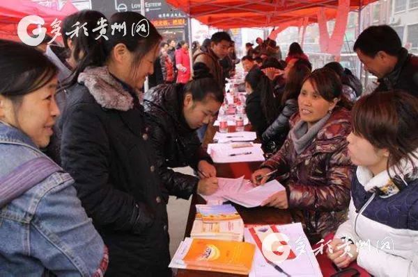 贵阳市金阳最新招聘信息及动态更新